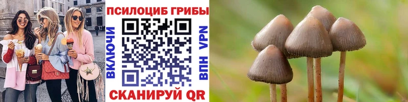 Галлюциногенные грибы Psilocybe  гидра сайт  Ульяновск  где купить наркоту 